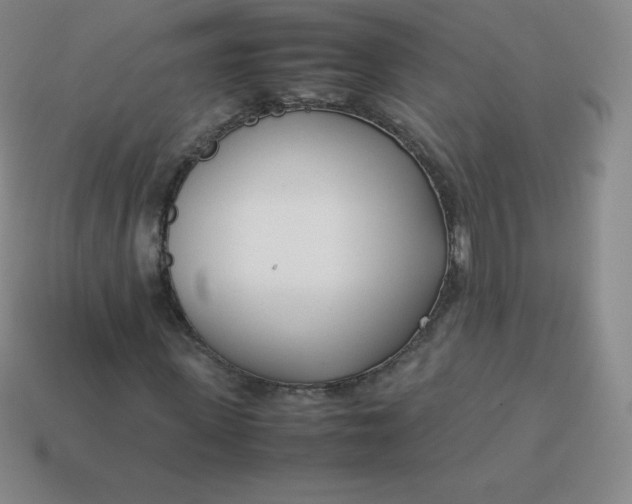 X0000113910915200910081846