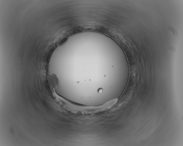 X0000113910916200910081846