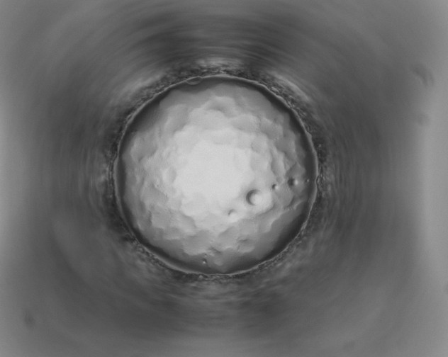 X0000113910917200910081846