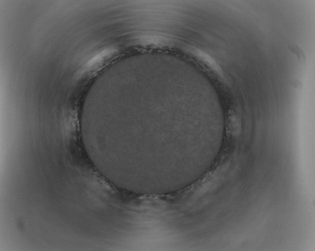 X0000113910918200910081846