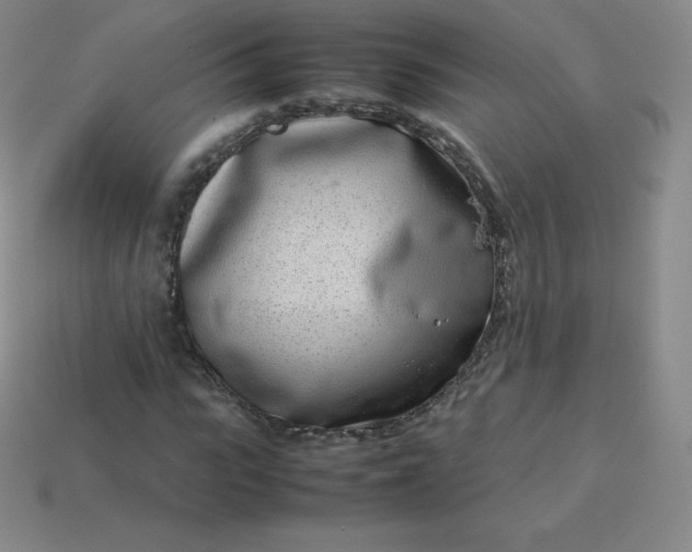 X0000113910919200910081846