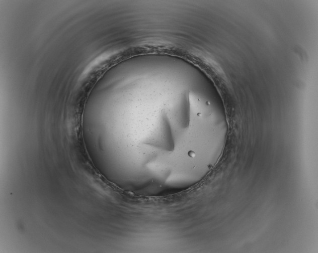 X0000113910920200910081846