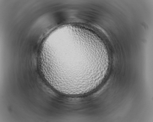 X0000113910921200910081846