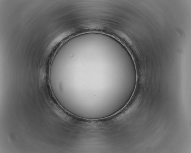 X0000113910922200910081846