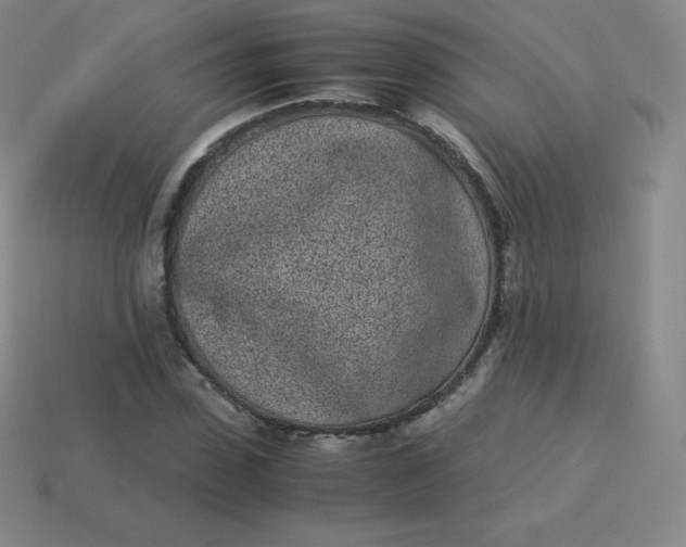 X0000113910923200910081846