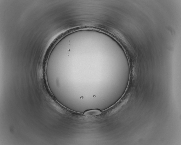 X0000113910924200910081846