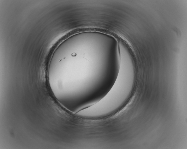 X0000113910925200910081846