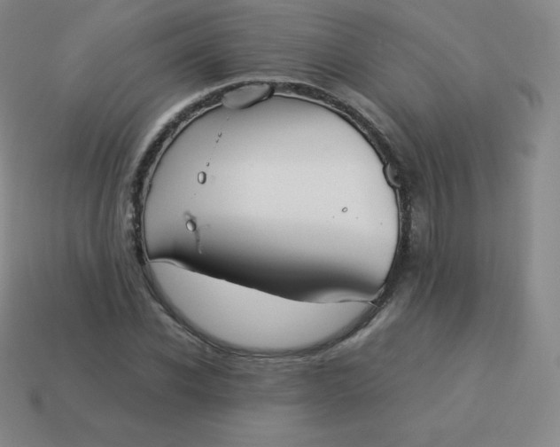 X0000113910926200910081846