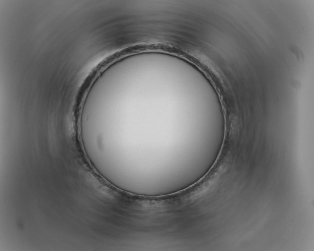 X0000113910927200910081846