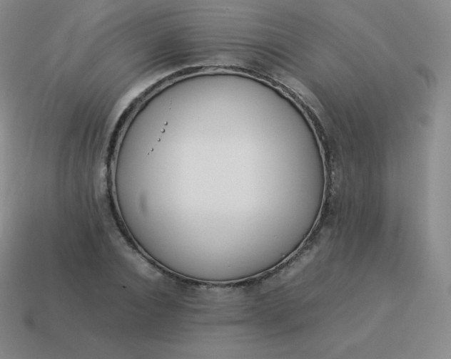 X0000113910928200910081846