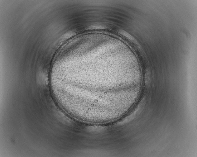 X0000113910929200910081846