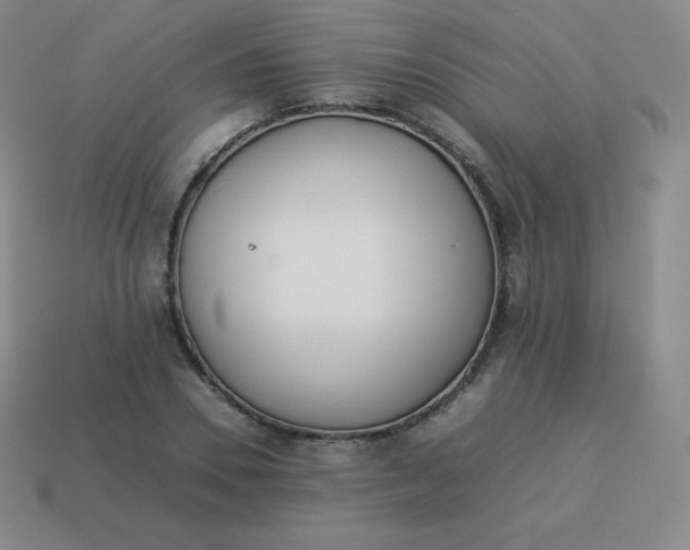 X0000113910930200910081846