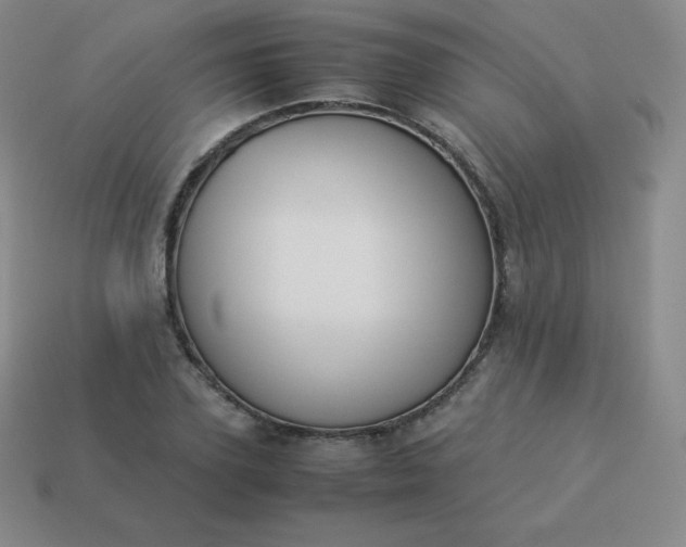 X0000113910931200910081846