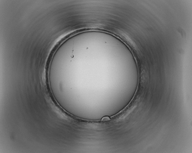 X0000113910932200910081846