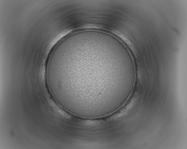 X0000113910933200910081846