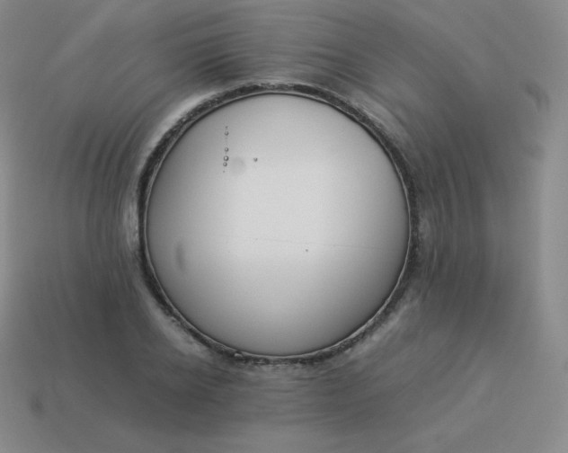 X0000113910934200910081846