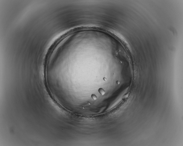 X0000113910935200910081846