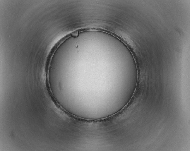 X0000113910936200910081847