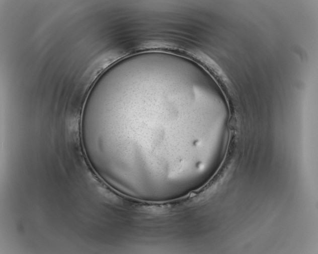 X0000113910937200910081847