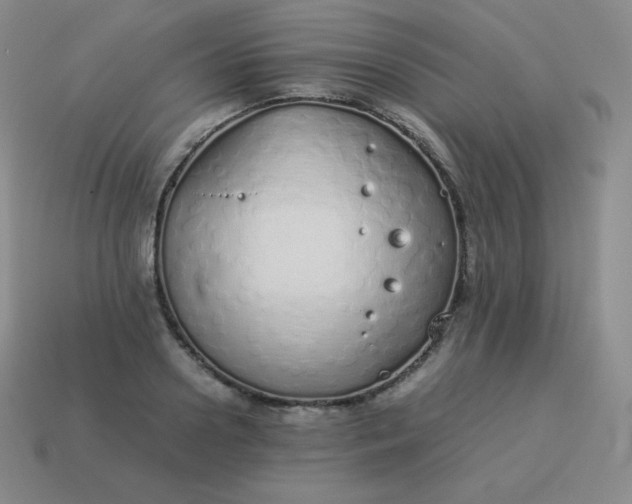 X0000113910938200910081847