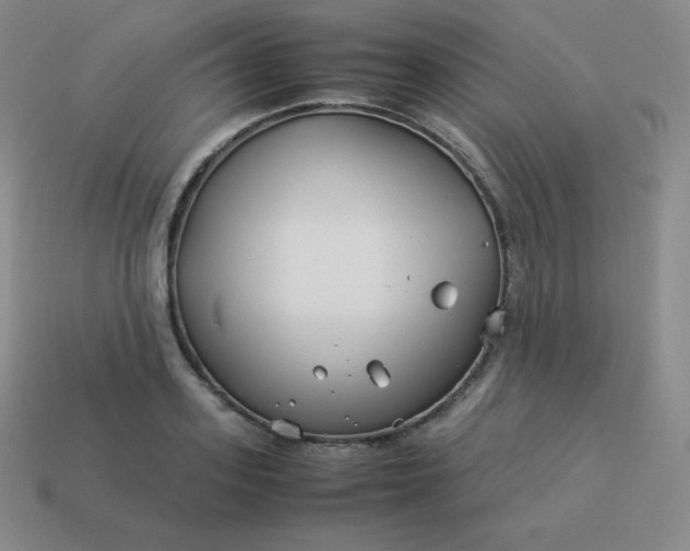 X0000113910939200910081847