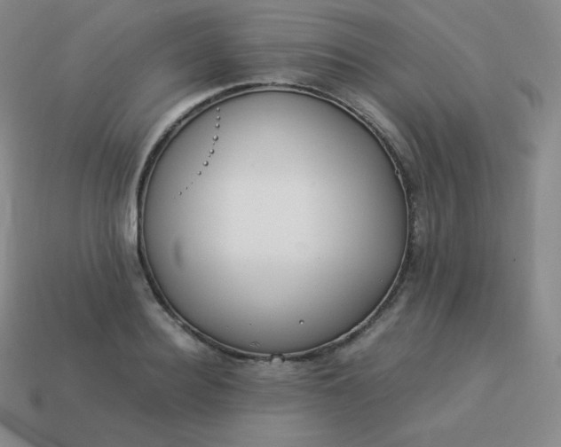 X0000113910940200910081847