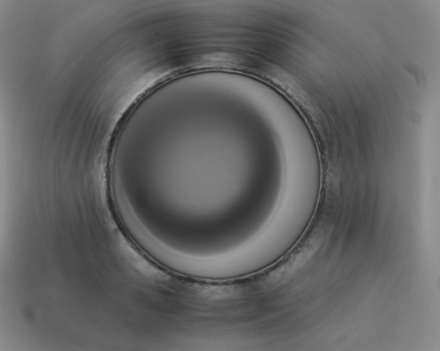 X0000113910941200910081847