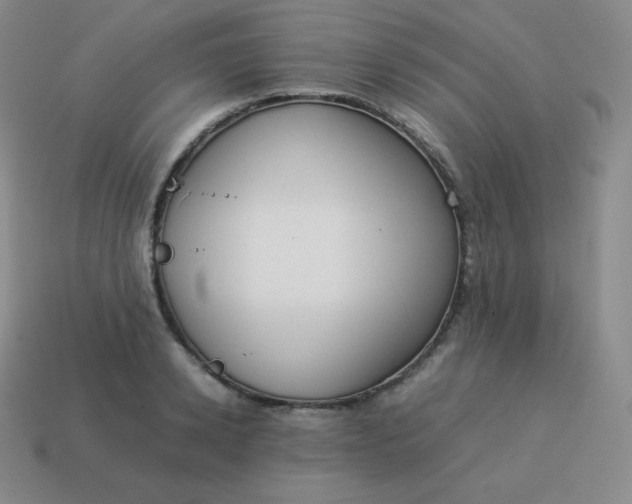 X0000113910942200910081847