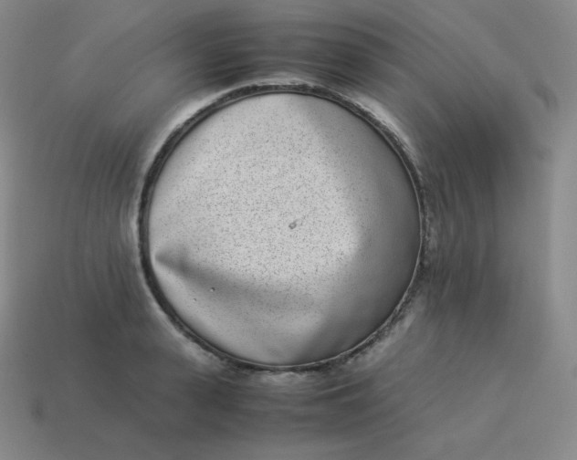 X0000113910943200910081847