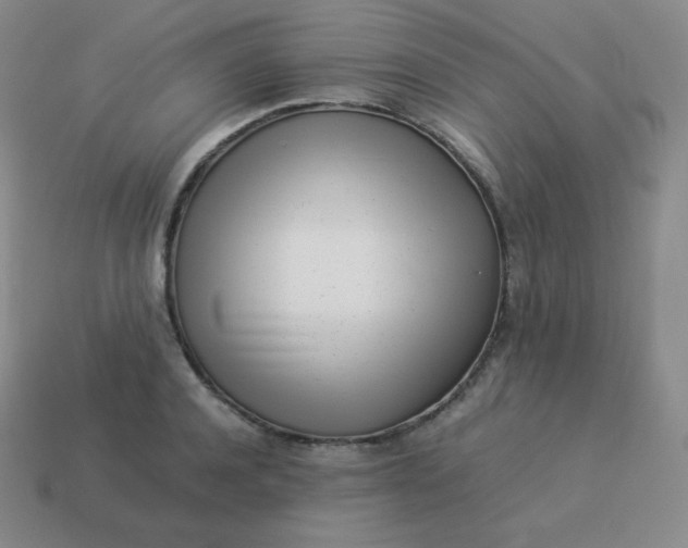 X0000113910944200910081847