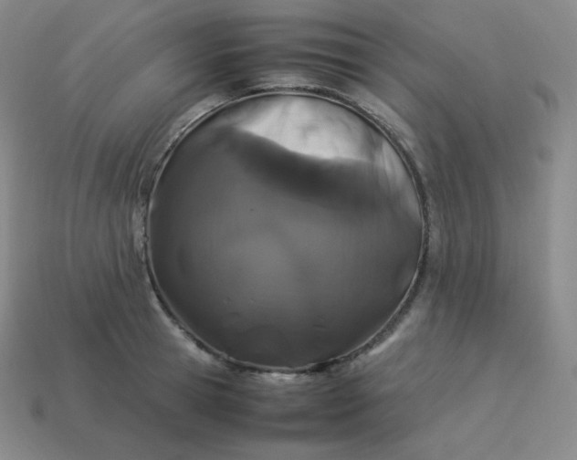 X0000113910945200910081847