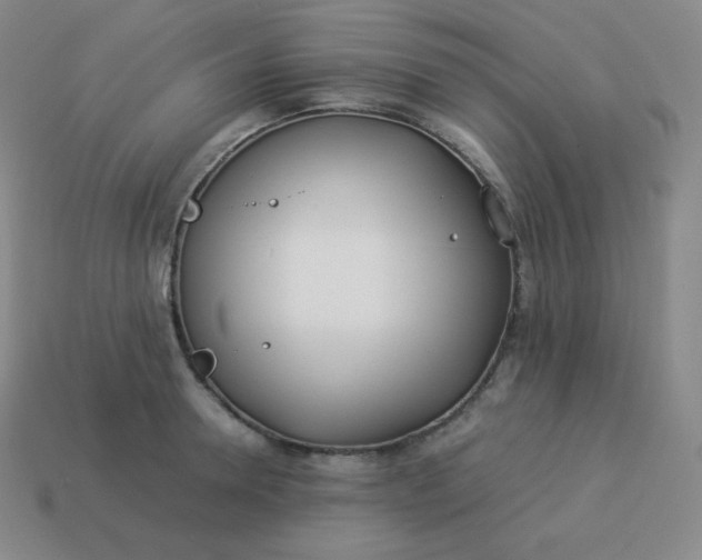 X0000113910946200910081847