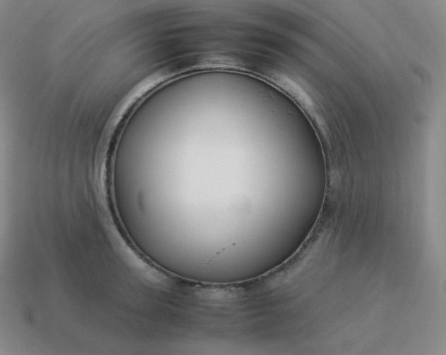 X0000113910947200910081847