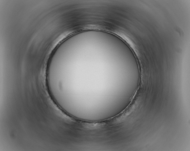 X0000113910949200910081847