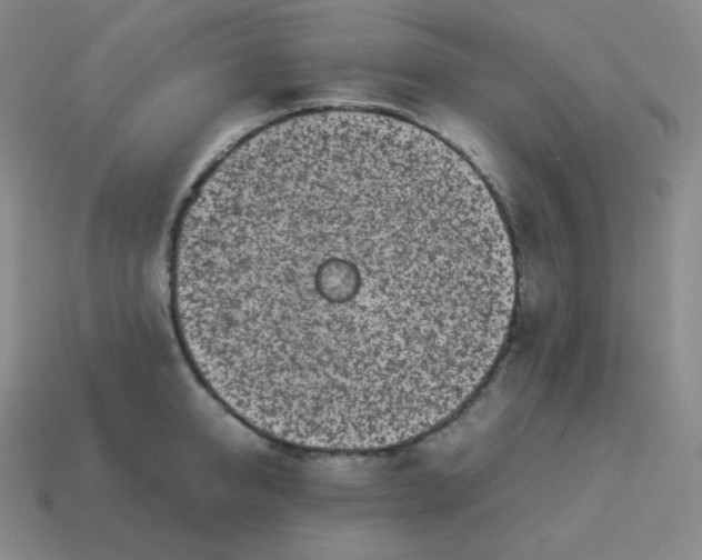 X0000113910950200910081847