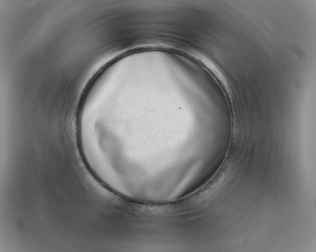 X0000113910951200910081847