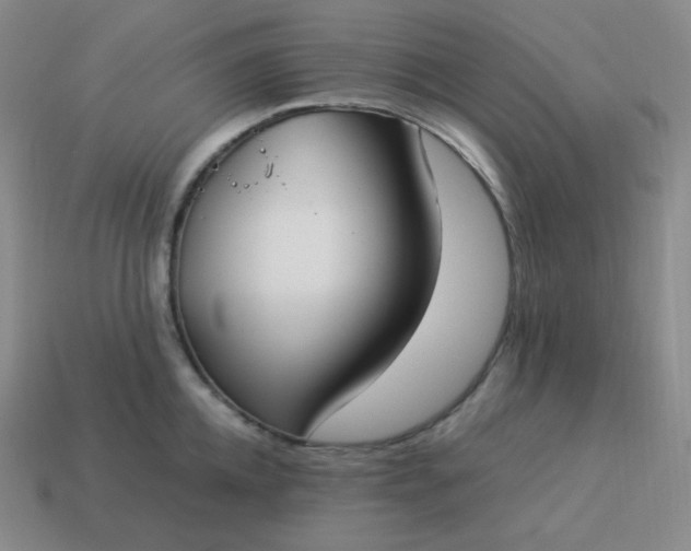 X0000113910952200910081847