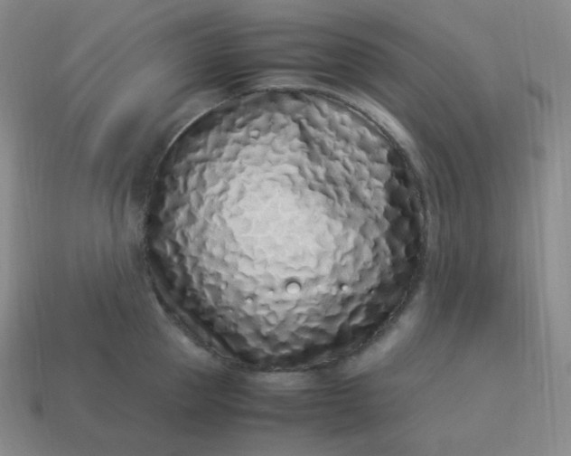 X0000113910953200910081847