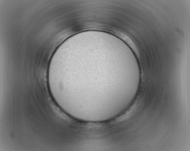 X0000113910954200910081847