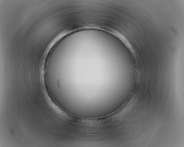 X0000113910955200910081847