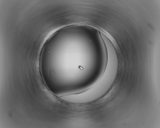 X0000113910956200910081847