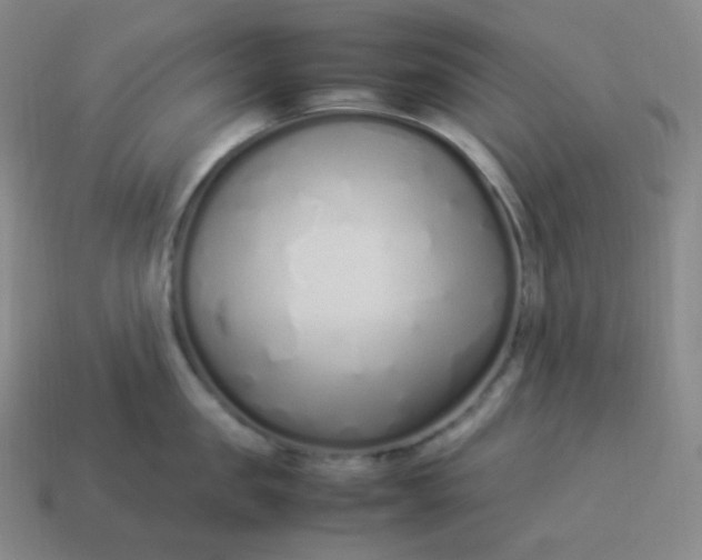 X0000113910957200910081847