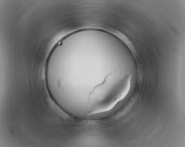 X0000113910958200910081847