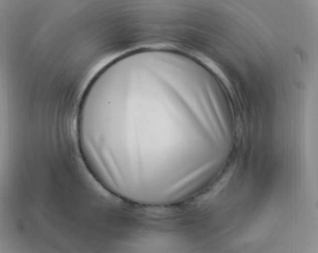 X0000113910959200910081847