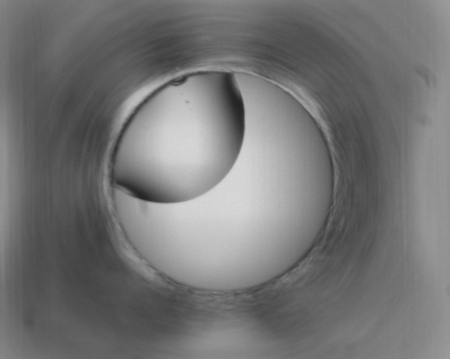 X0000113910960200910081847