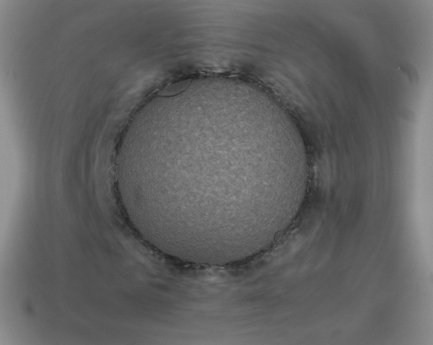 X0000113910961200910081846