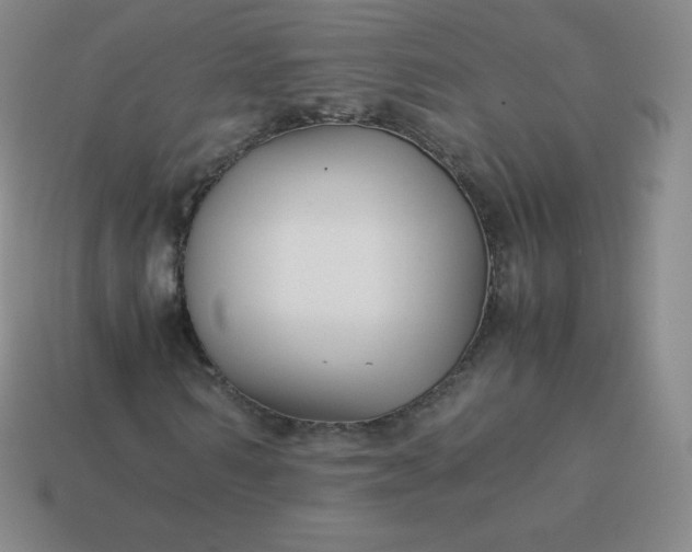 X0000113910962200910081846