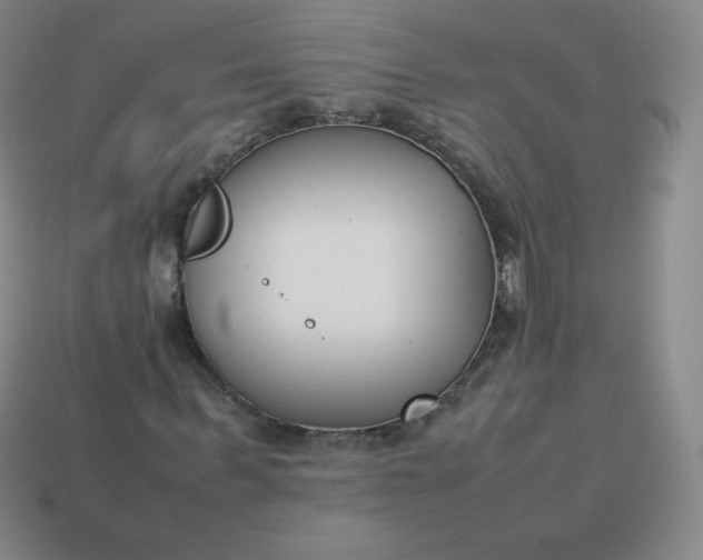 X0000113910963200910081846