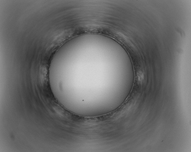 X0000113910964200910081846