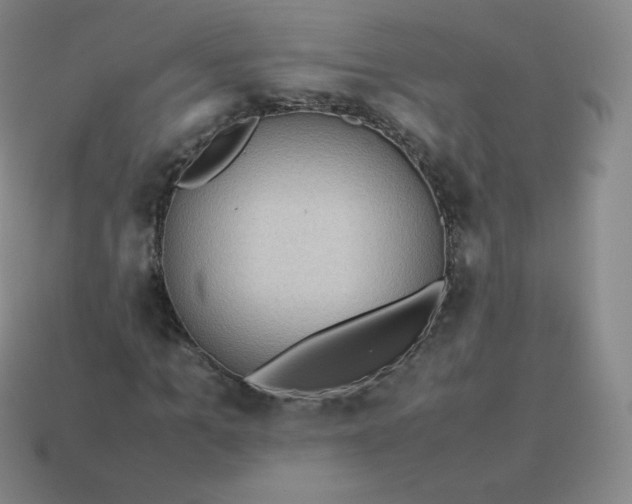 X0000113910965200910081846